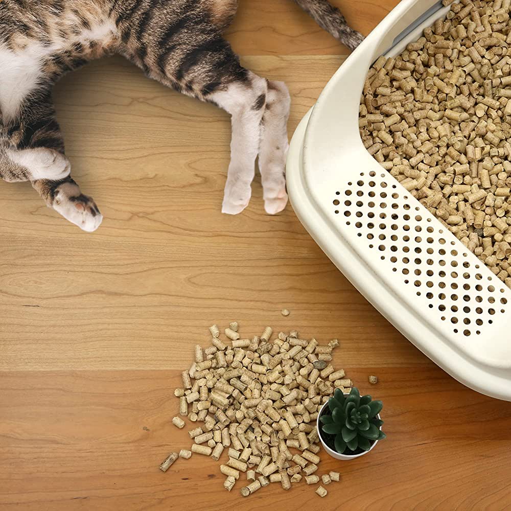 Pine based cat litter hotsell