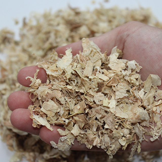 mixed-shavings-world-export