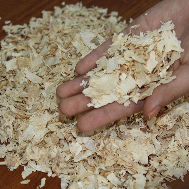 pine-shavings-for-horse