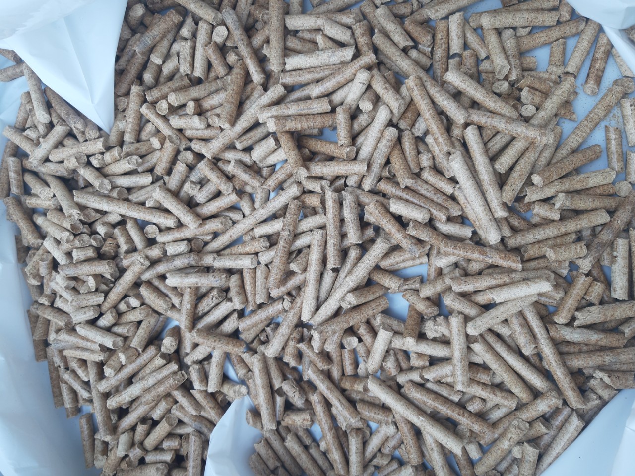 wood-pellets-world-export