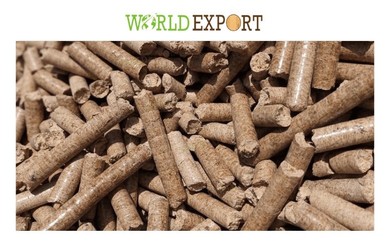 FSC-Certification-2.