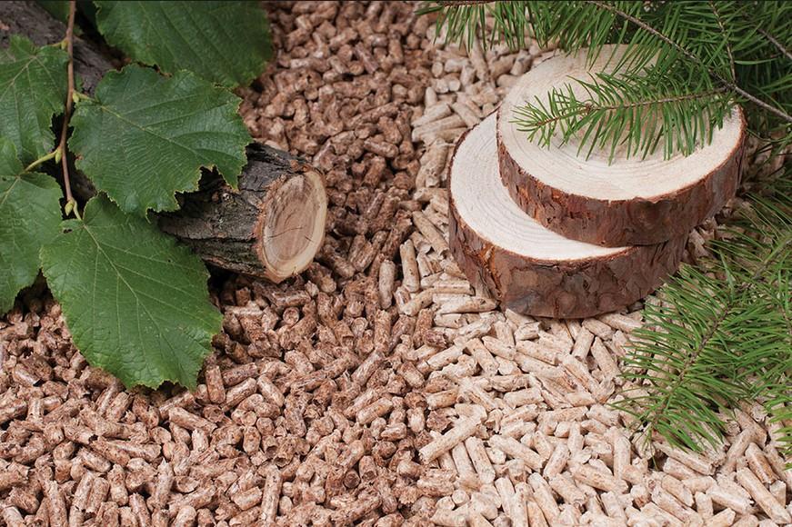 Exploring the Diverse Applications of Wood Pellets in Modern Industries