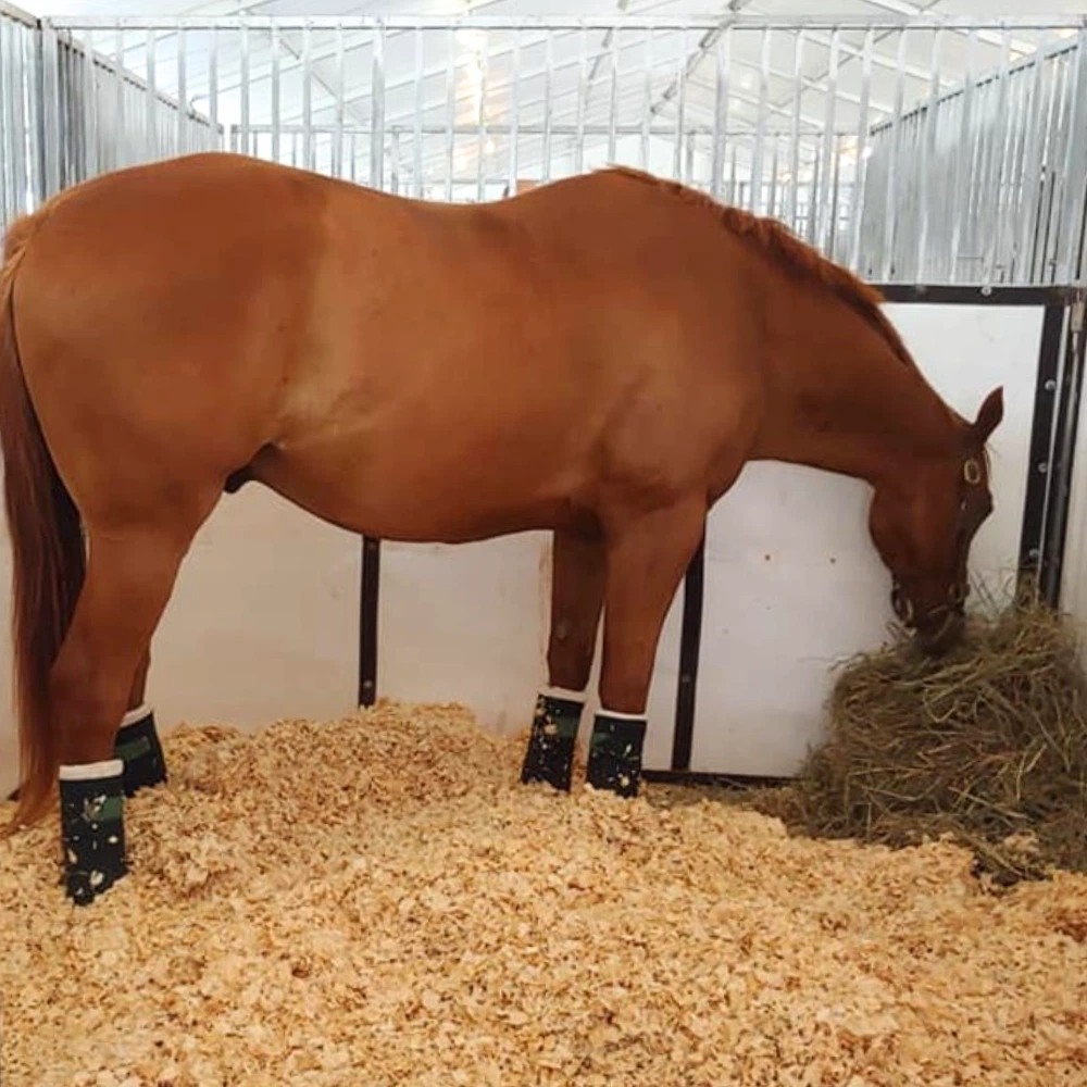 큰 조각의 나무 부스러기 - 말 깔짚