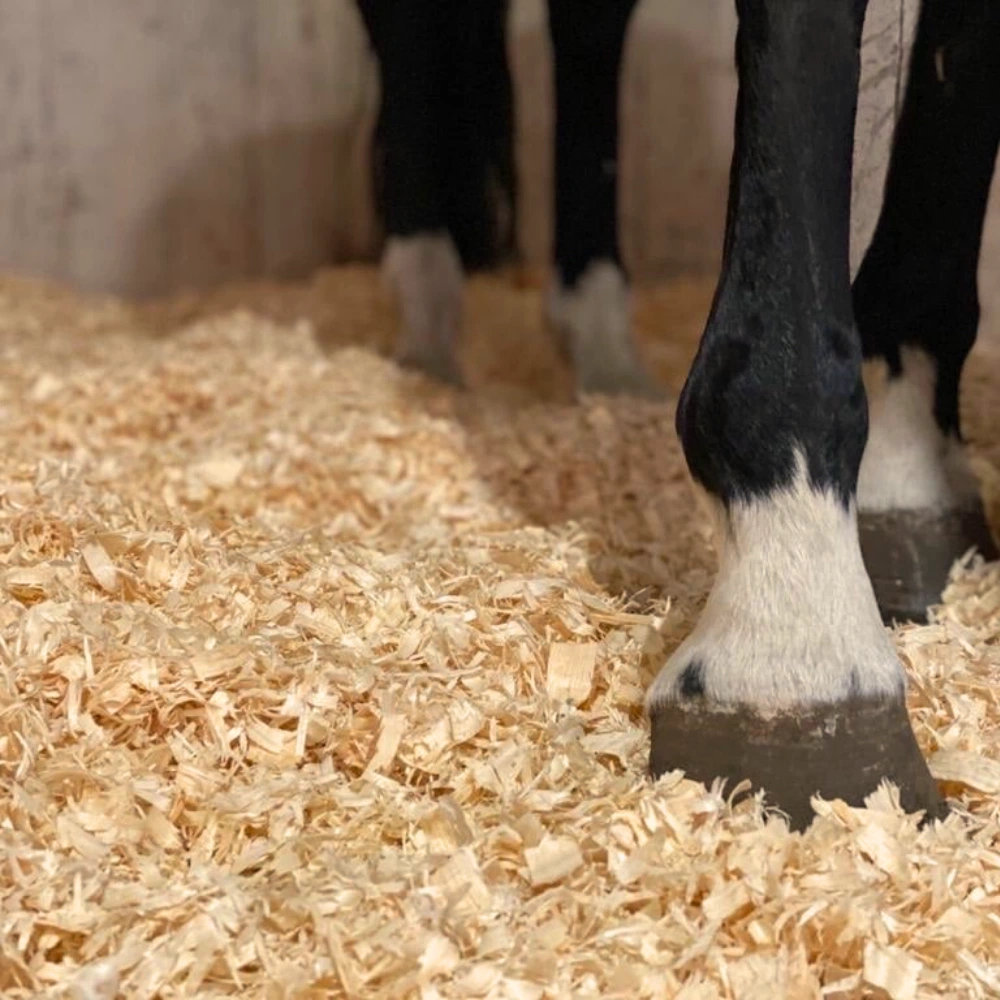 큰 조각의 나무 부스러기 - 말 깔짚