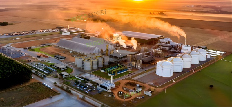 Wood pellets are a versatile biomass fuel, efficient enough to power a power plant