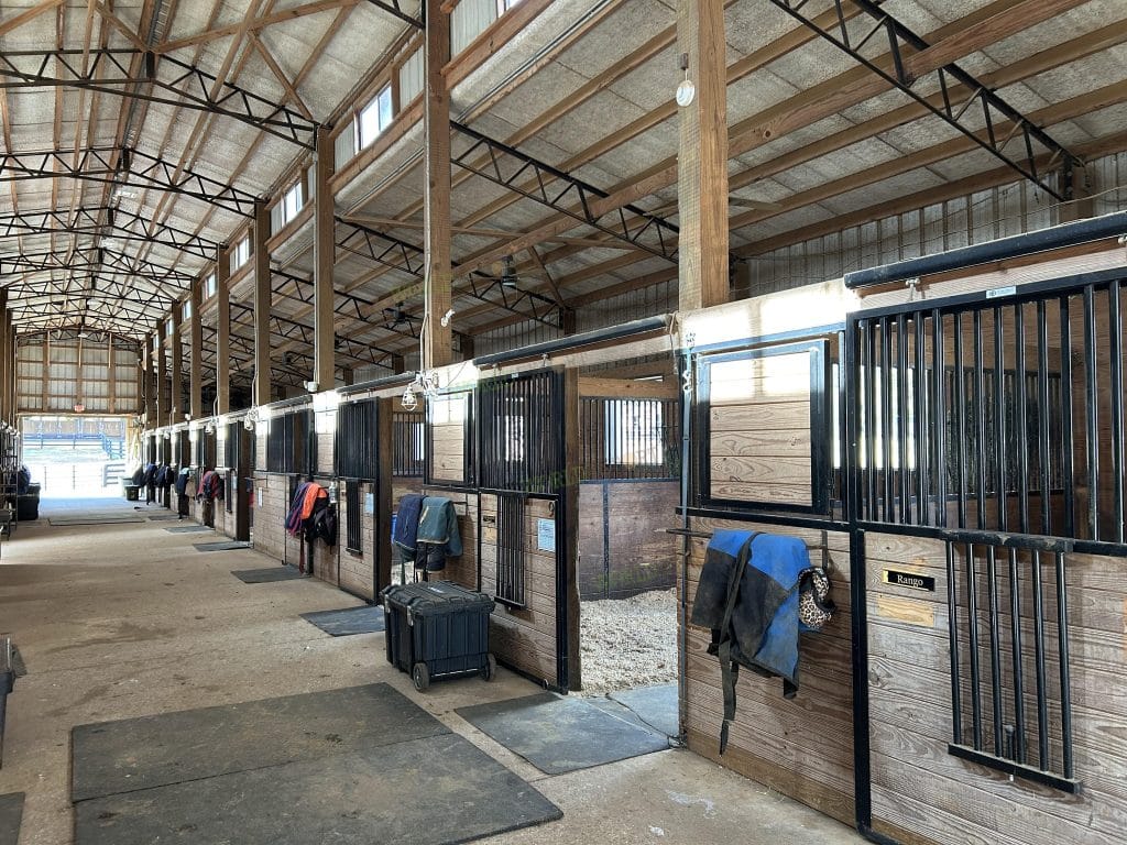 Copeaux en vrac pour chevaux-1