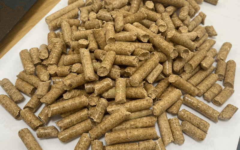 combustible biomasse 3