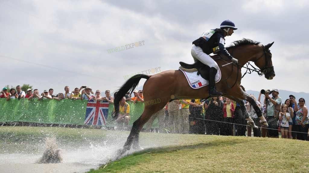 equestrian-sport-1