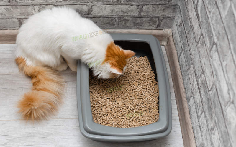 wood pellet cat litter 3