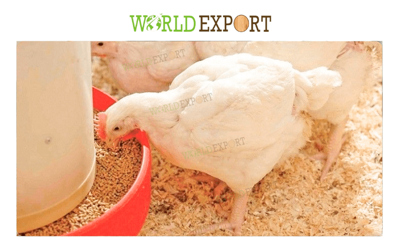 Wood-shavings-for-broiler-bedding-2