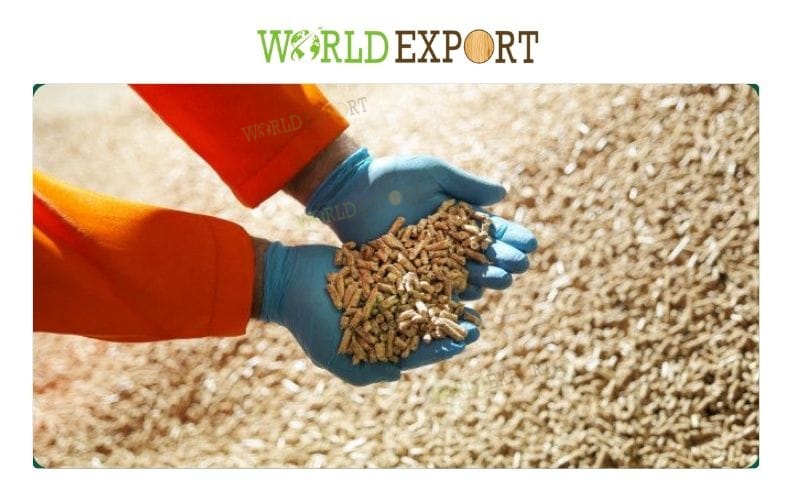 wood-pellet-supplier-Vietnam
