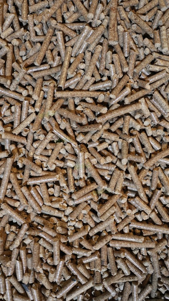 wood pellet export Japan