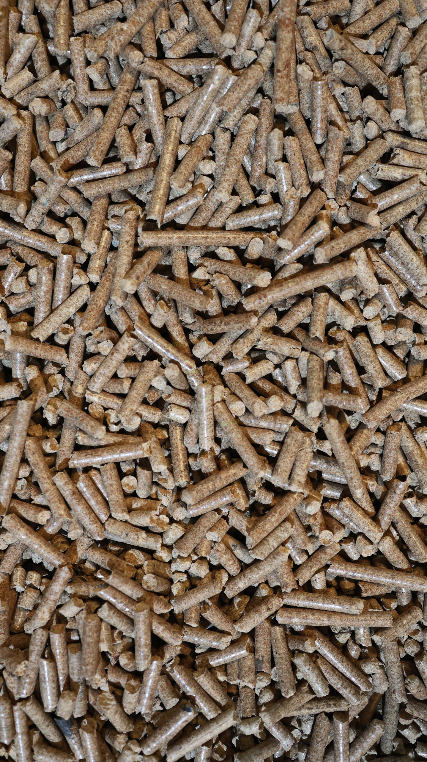 wood pellet export Japan
