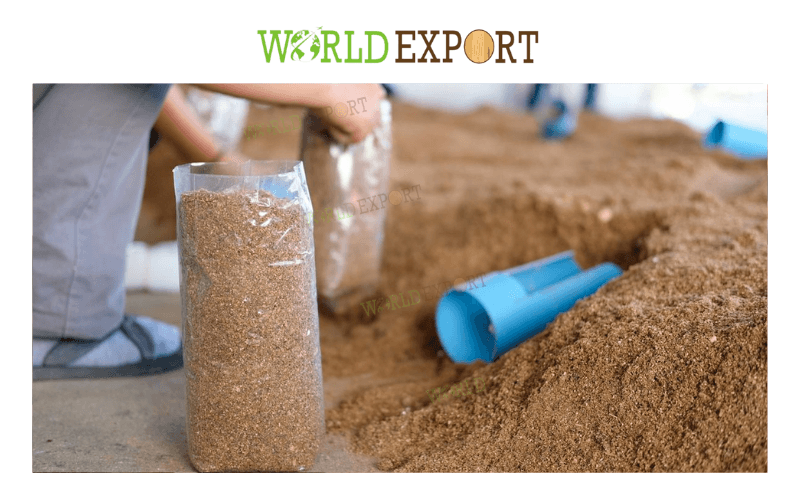 WOOD-POWDER-FOR-MUSHROOM-CULTIVATION-IS-THE-BEST-GROWING-SUBSTRATE-2