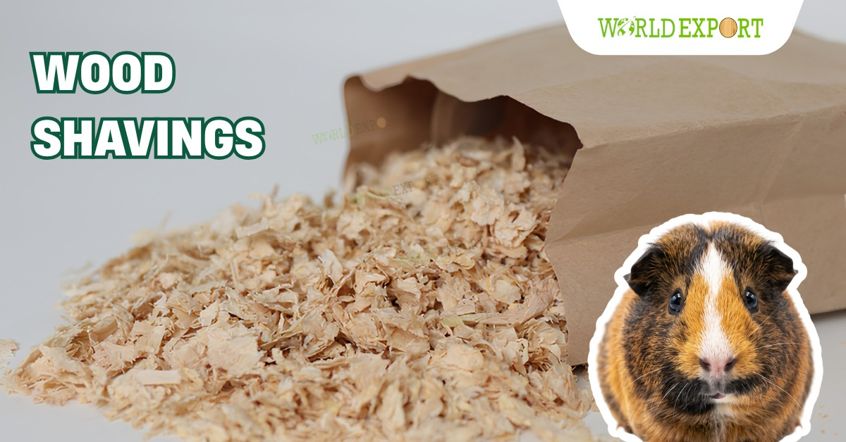 wood shavings for guinea pigs