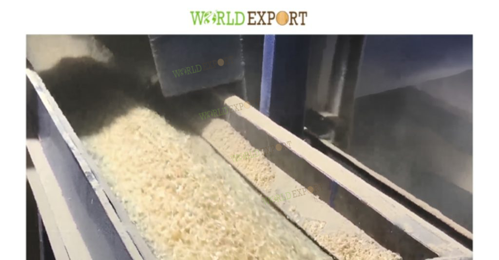 Technical processing of clean, low-dust wood shavings for pet litter