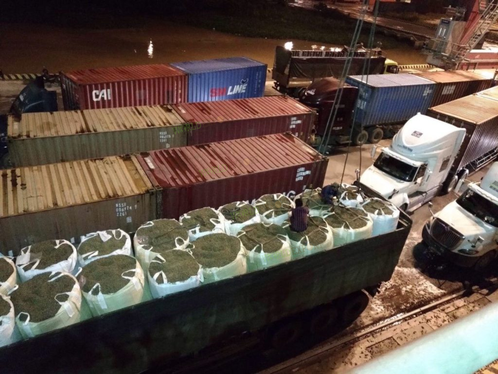 Wood pellets being unloaded from a container truck onto a specialized transfer vehicle at the dock, preparing to be hoisted onto a bulk cargo vessel