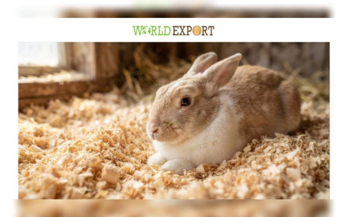 Wood shavings for rabbits