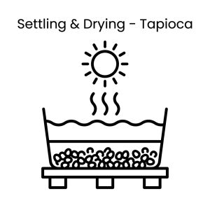 Settling & Drying